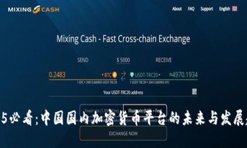 2025必看：中国国内加密货币平台的未来与发展趋势