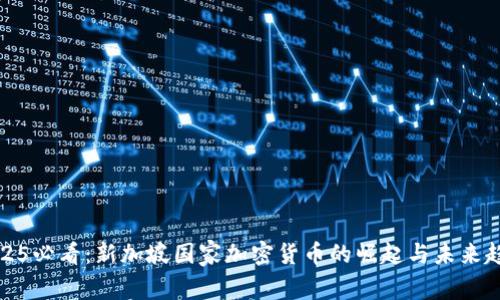 2025必看：新加坡国家加密货币的崛起与未来趋势