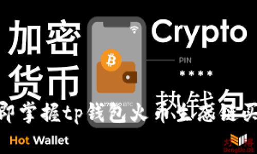 2025必看：立即掌握tp钱包火币生态链买币的终极指南