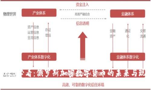 2025必看：俄罗斯加密数字货币的未来与现状