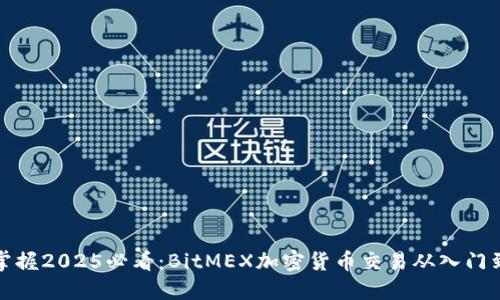 立即掌握2025必看：BitMEX加密货币交易从入门到精通