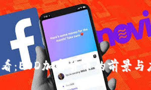 2025必看：EOD加密货币的前景与应用分析