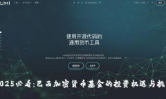 2025必看：巴西加密货币基