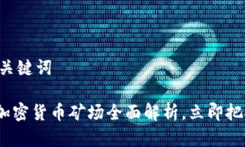  展示一下一个和关键词 

“2025必看：迪拜加密货币矿场全面解析，立即把握未来投资机会！”