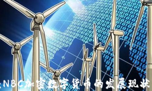 
2025必看：NBC加密数字货币的发展现状与未来展望