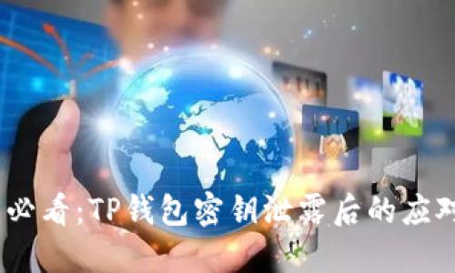 2025必看：TP钱包密钥泄露后的应对措施