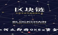 2025年必看：如何立即将