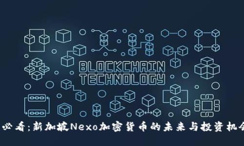 2025必看：新加坡Nexo加密货币的未来与投资机会探索