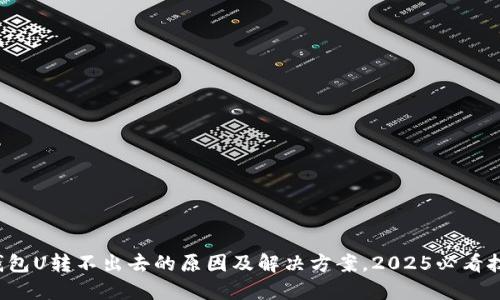 TP钱包U转不出去的原因及解决方案，2025必看技巧！