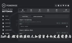 2025必看：探索欧盟欧元加