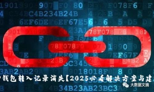 TP钱包转入记录消失？2025必看解决方案与建议