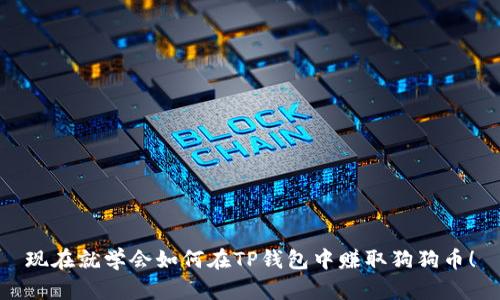 现在就学会如何在TP钱包中赚取狗狗币！