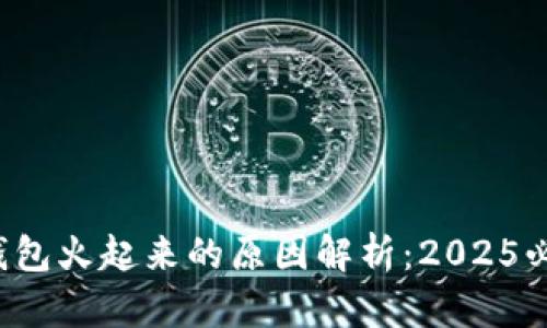 TP钱包火起来的原因解析：2025必看！