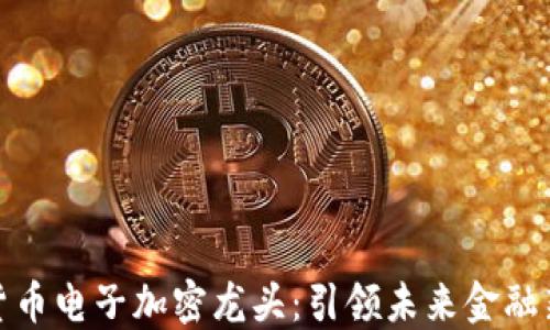
数字货币电子加密龙头：引领未来金融新潮流
