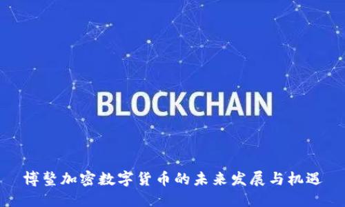博鳌加密数字货币的未来发展与机遇
