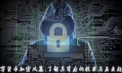 数字货币加密风暴：了解