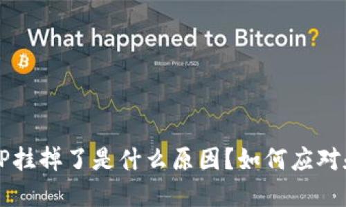 加密货币APP挂掉了是什么原因？如何应对和保护投资？