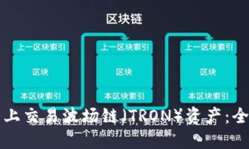 如何在TP钱包上交易波场链（TRON）资产：全面指南及技巧
