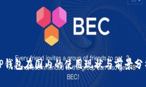 TP钱包在国内的使用现状与前景分析