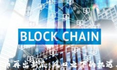 加密货币再出新瓜：风口