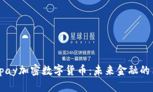 深入了解Vpay加密数字货币：未来金融的革命性选择