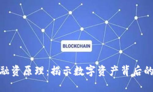 加密货币融资原理：揭示数字资产背后的投资逻辑