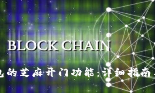 如何使用TP钱包的芝麻开门功能：详细指南与常见问题解答