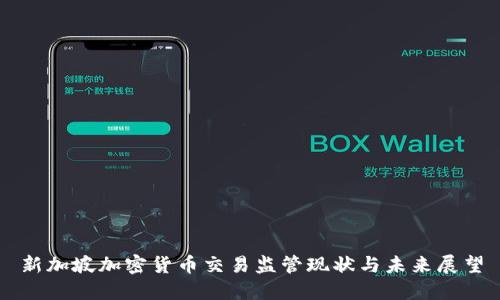 新加坡加密货币交易监管现状与未来展望