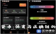 球迷加密货币：体育与区