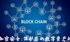 数字货币加密安全：保护