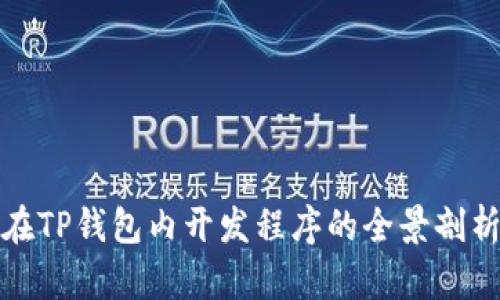 在TP钱包内开发程序的全景剖析