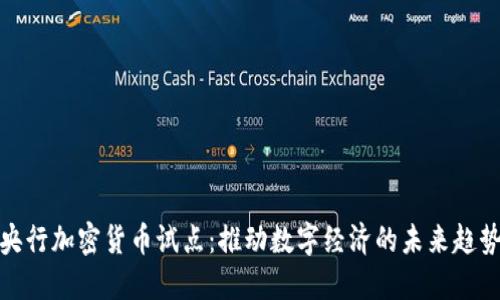 央行加密货币试点：推动数字经济的未来趋势