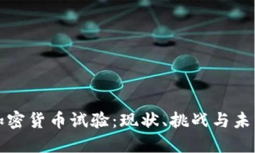 美国加密货币试验：现状、挑战与未来趋势