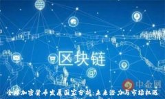  全球加密货币发展国家分