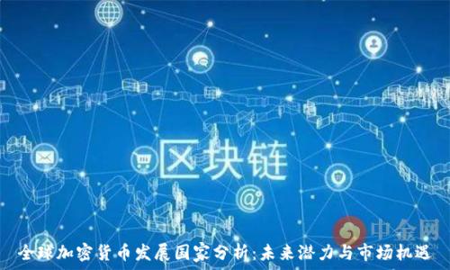  

全球加密货币发展国家分析：未来潜力与市场机遇