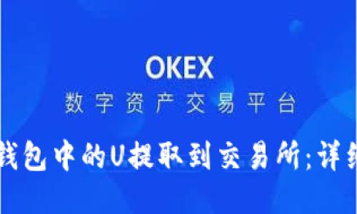 如何将TP钱包中的U提取到交易所：详细步骤指南