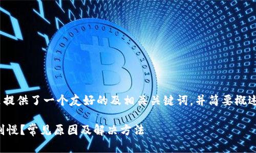 注意：根据您的要求，这里提供了一个友好的及相关关键词，并简要概述了内容结构和主题框架。

为什么TP钱包进不去特别慢？常见原因及解决方法