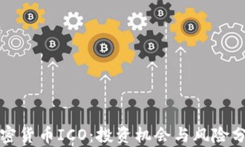 
加密货币ICO：投资机会与风险分析